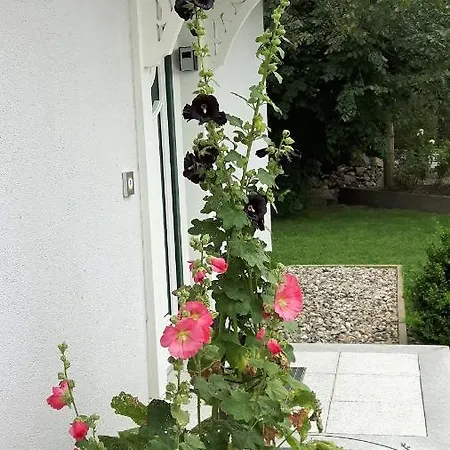 Ferienhaus Salzhaff-romantik