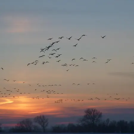 Ferienhaeuser Salzhaff-romantik Casa vacanze
