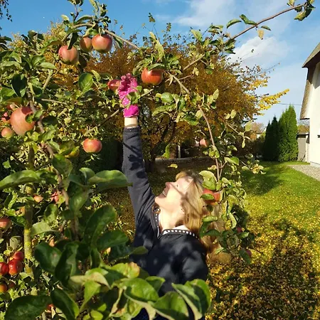 Ferienhaeuser Salzhaff-romantik * Tessmannsdorf