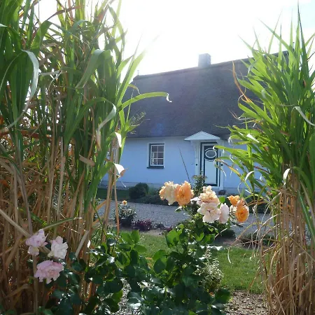 Ferienhaeuser Salzhaff-romantik *