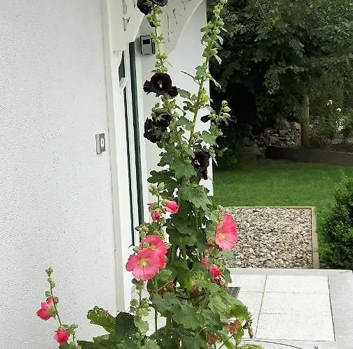 別荘 Ferienhaeuser Salzhaff-romantik