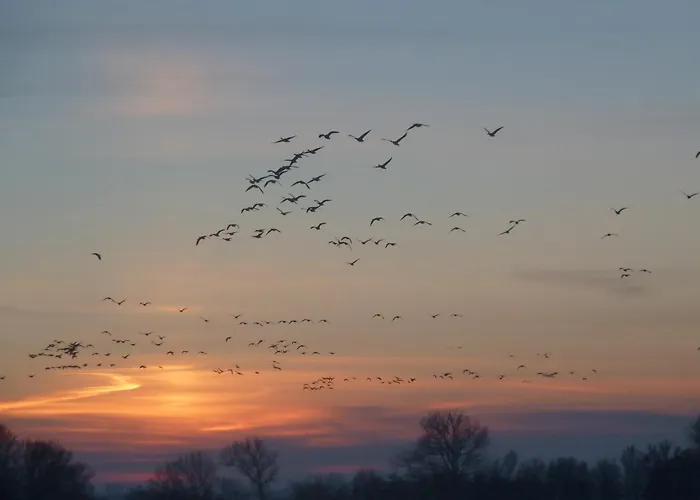 Ferienhaeuser Salzhaff-romantik 別荘