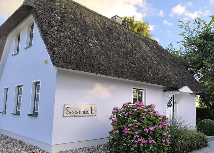 Ferienhaeuser Salzhaff-romantik 別荘 *