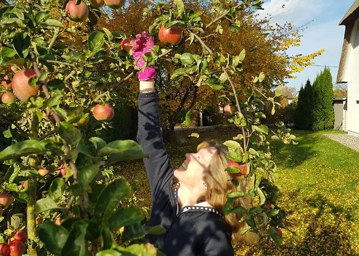 Ferienhaeuser Salzhaff-romantik * Teßmannsdorf