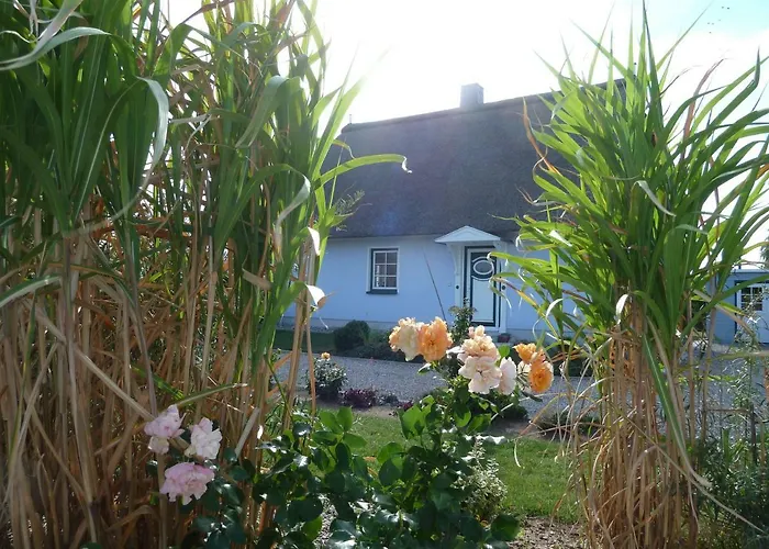 Ferienhaeuser Salzhaff-romantik *